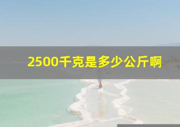 2500千克是多少公斤啊