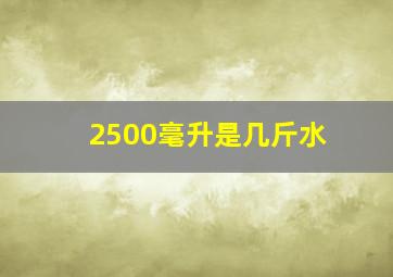 2500毫升是几斤水