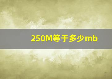 250M等于多少mb