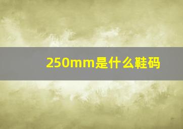 250mm是什么鞋码