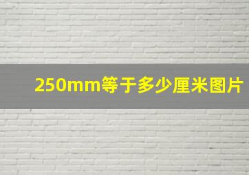 250mm等于多少厘米图片