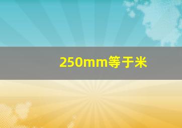 250mm等于米