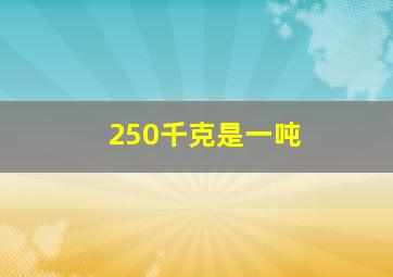 250千克是一吨