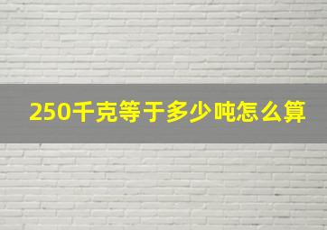 250千克等于多少吨怎么算