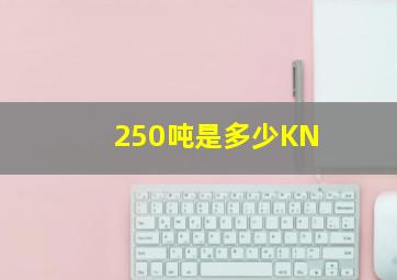 250吨是多少KN