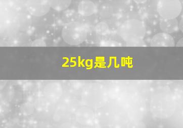 25kg是几吨