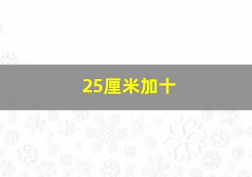 25厘米加十