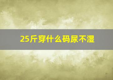 25斤穿什么码尿不湿