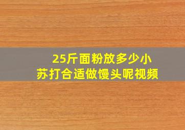 25斤面粉放多少小苏打合适做馒头呢视频