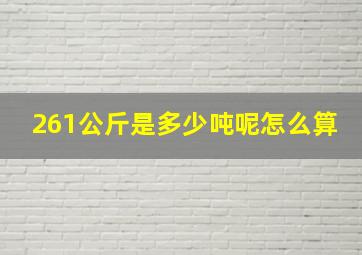 261公斤是多少吨呢怎么算