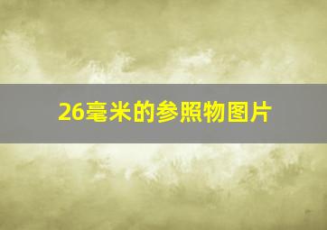 26毫米的参照物图片