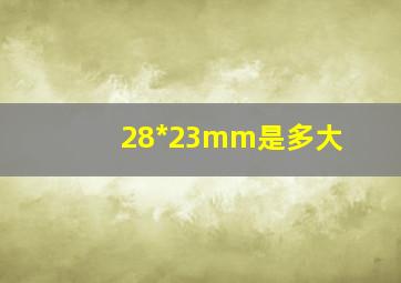 28*23mm是多大