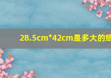 28.5cm*42cm是多大的纸