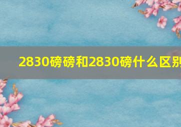 2830磅磅和2830磅什么区别