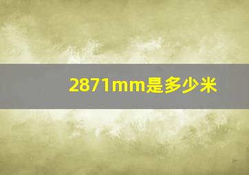 2871mm是多少米