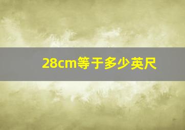 28cm等于多少英尺