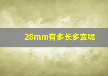 28mm有多长多宽呢