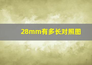 28mm有多长对照图