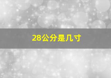 28公分是几寸