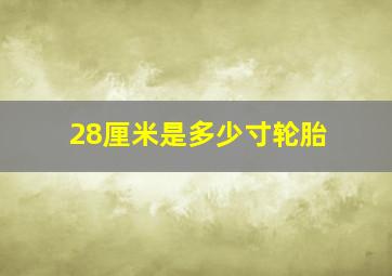 28厘米是多少寸轮胎