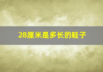 28厘米是多长的鞋子