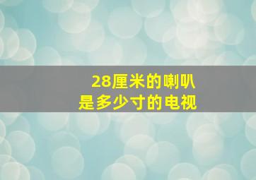 28厘米的喇叭是多少寸的电视