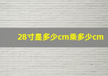 28寸是多少cm乘多少cm