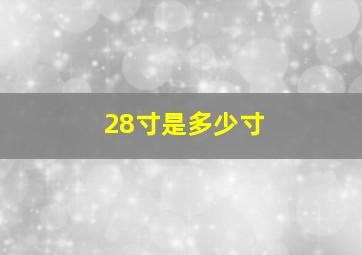 28寸是多少寸