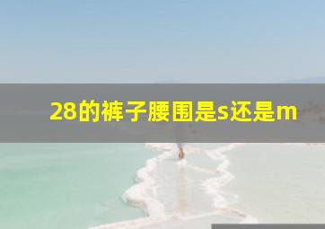 28的裤子腰围是s还是m