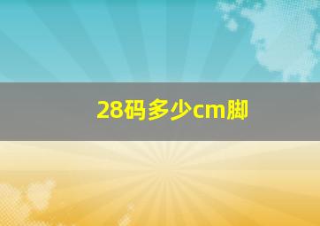 28码多少cm脚