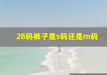 28码裤子是s码还是m码