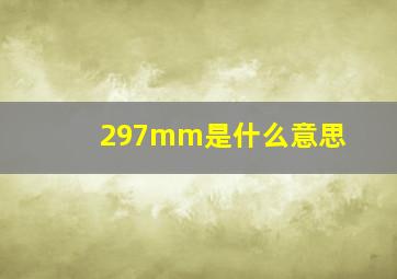 297mm是什么意思