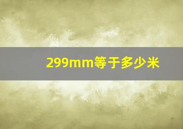 299mm等于多少米