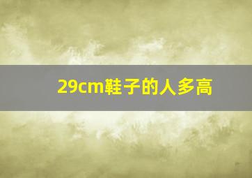 29cm鞋子的人多高