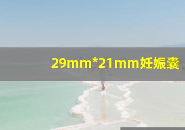 29mm*21mm妊娠囊