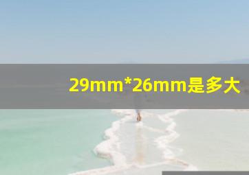 29mm*26mm是多大