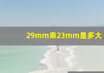 29mm乘23mm是多大