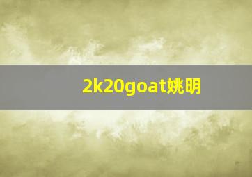 2k20goat姚明