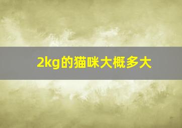 2kg的猫咪大概多大