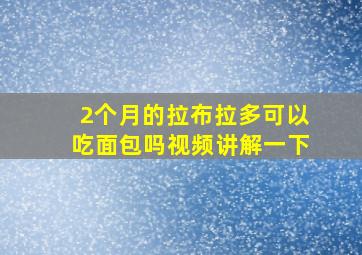 2个月的拉布拉多可以吃面包吗视频讲解一下