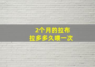 2个月的拉布拉多多久喂一次