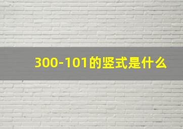 300-101的竖式是什么