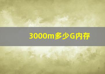 3000m多少G内存