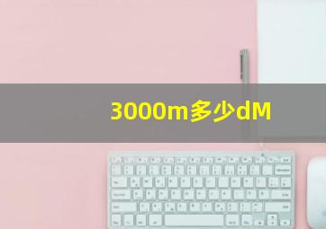 3000m多少dM