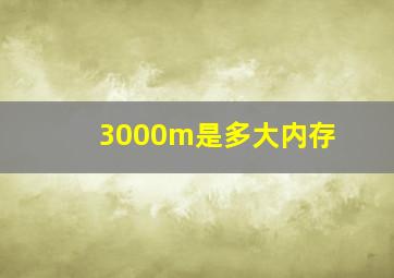 3000m是多大内存