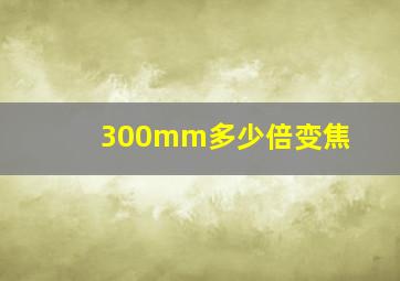 300mm多少倍变焦