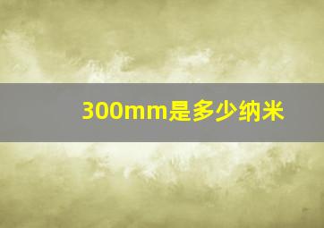 300mm是多少纳米