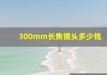 300mm长焦镜头多少钱