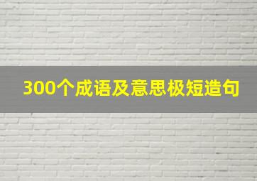 300个成语及意思极短造句