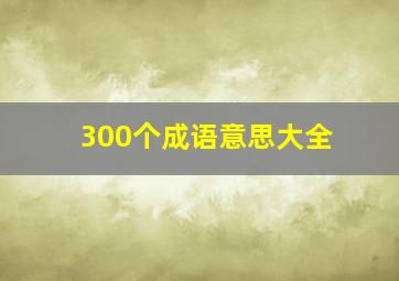 300个成语意思大全